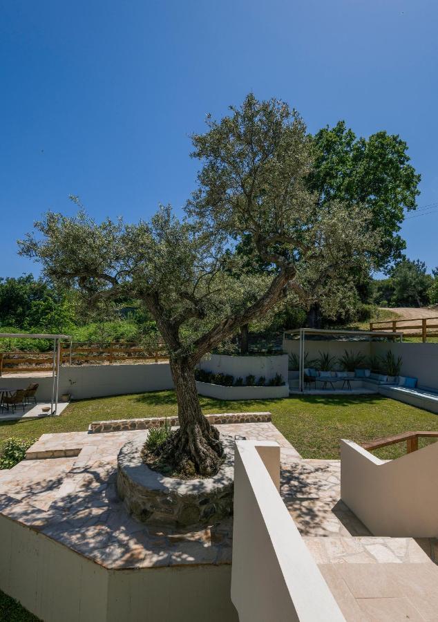 Dionysus Apartments & Suites Ierissós Esterno foto